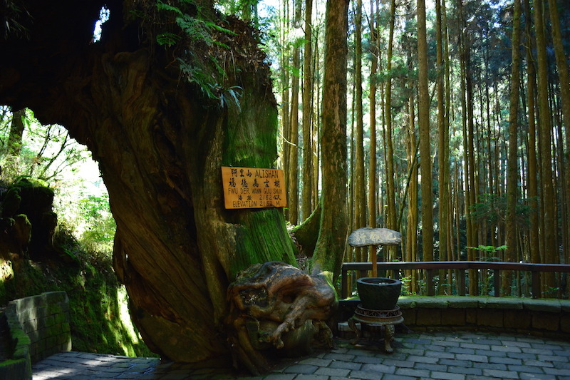 Alishan National Park